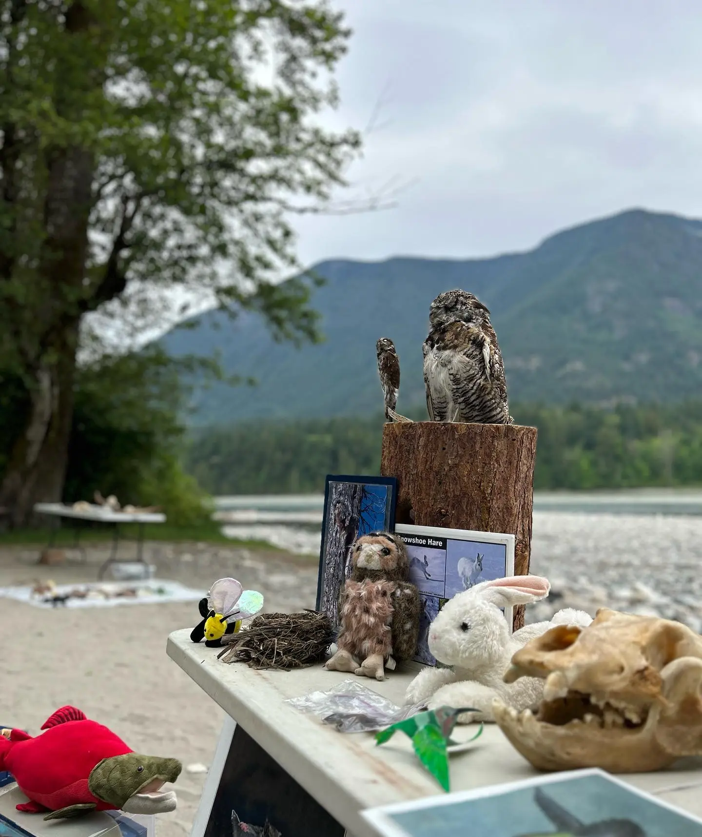 Interpretive program at Manning Provincial Park