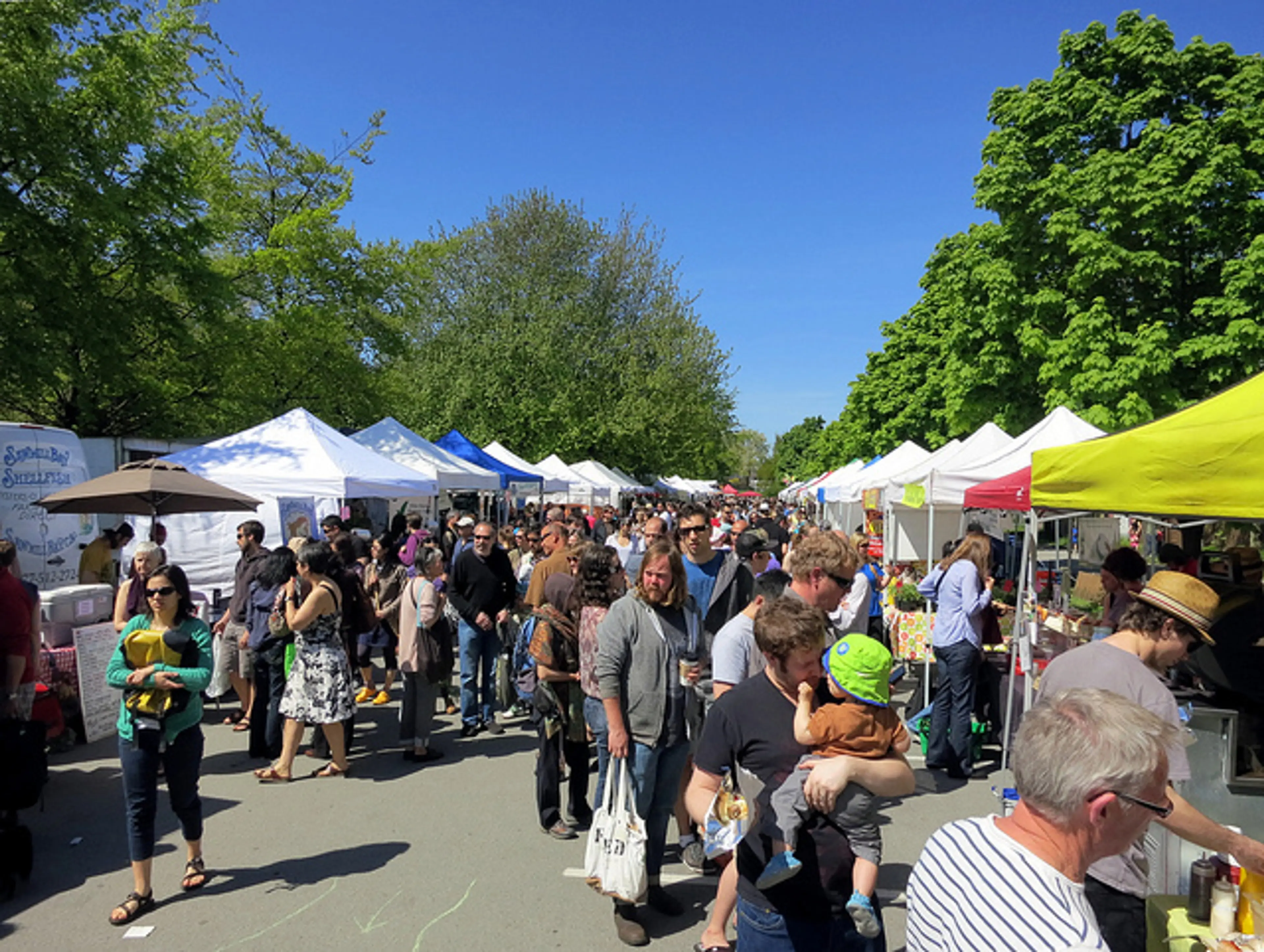 trout lake farmers market