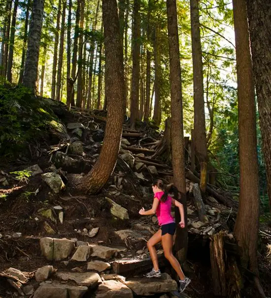 Image courtesy of Grouse Mountain