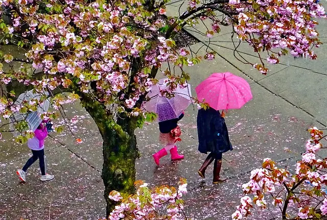 Walking in the rain