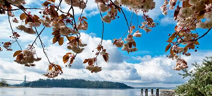 westvan
