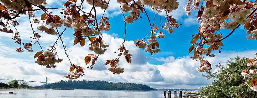 westvan