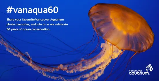#vanaqua60: Celebrating 60 Years of Ocean Conservation