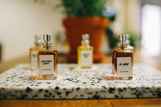 LUSH Gorilla Perfume Presents: Gorilla Gallery Vol IV in Vancouver