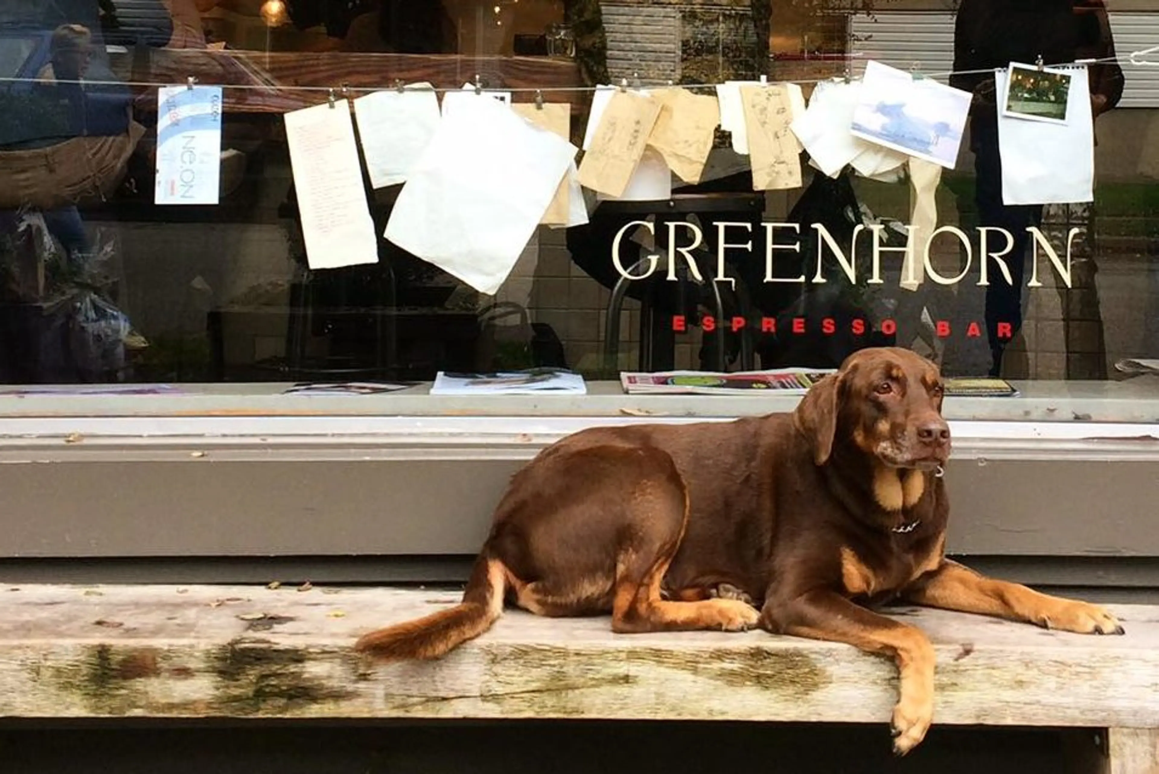 Greenhorn Cafe Vanocuver