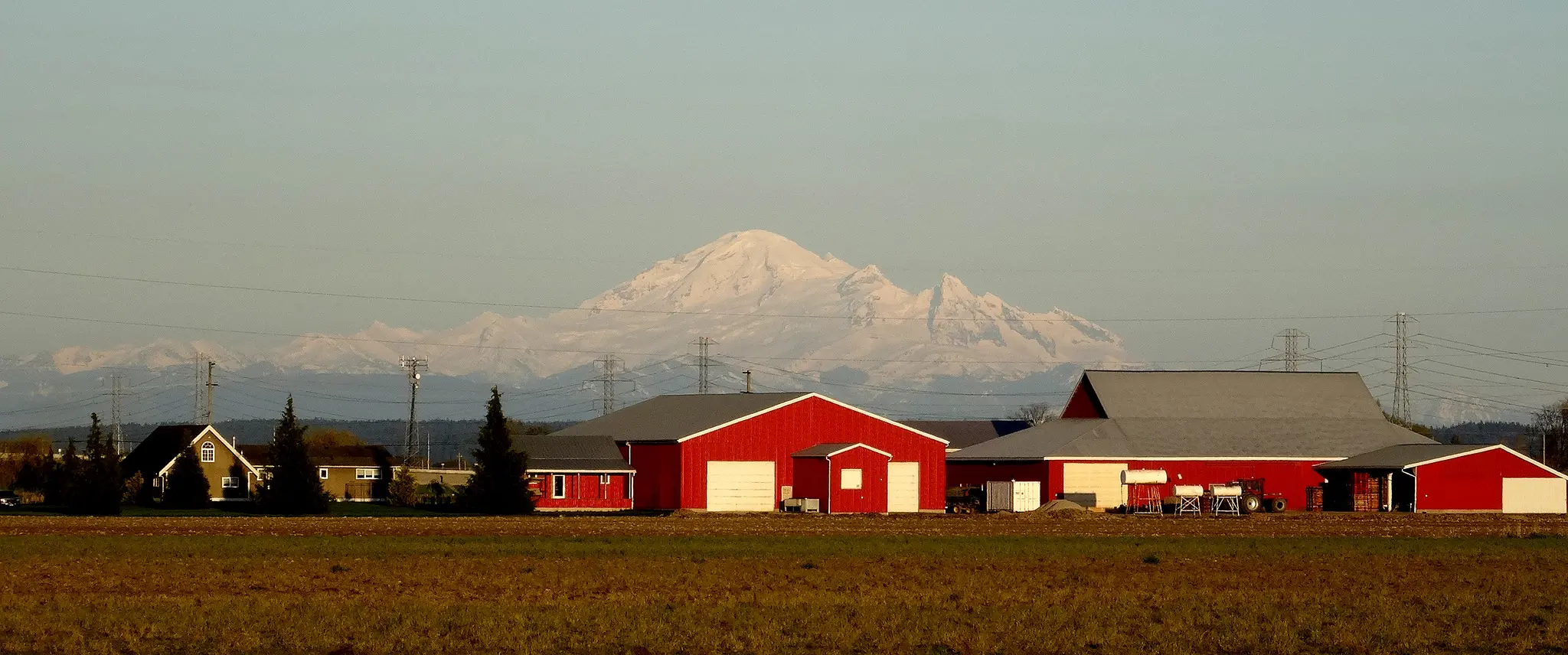 Delta
