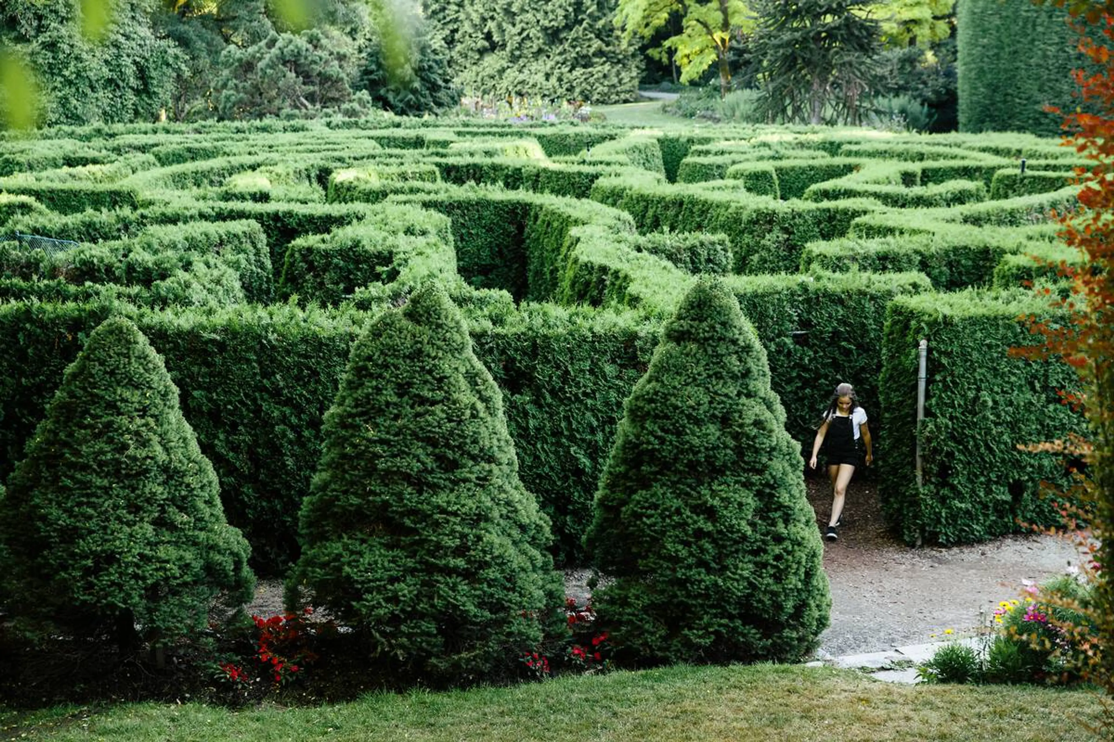 Calm Your Mind Outdoors Without Leaving Vancouver