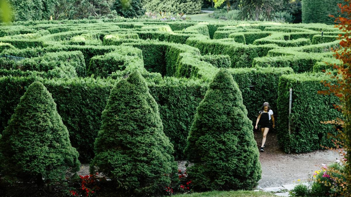 VanDusen Garden Hedge maze in Vancouver