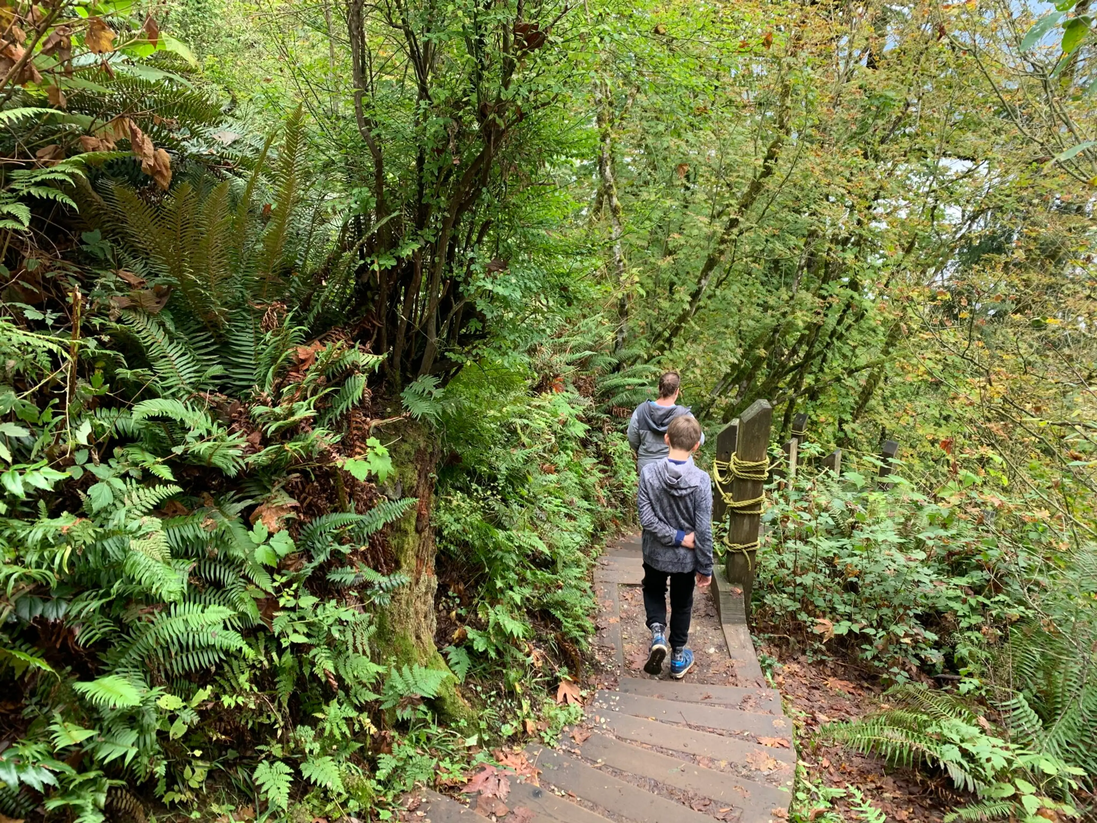 Stairs on the Velodrome Trail at Burnaby Mountain