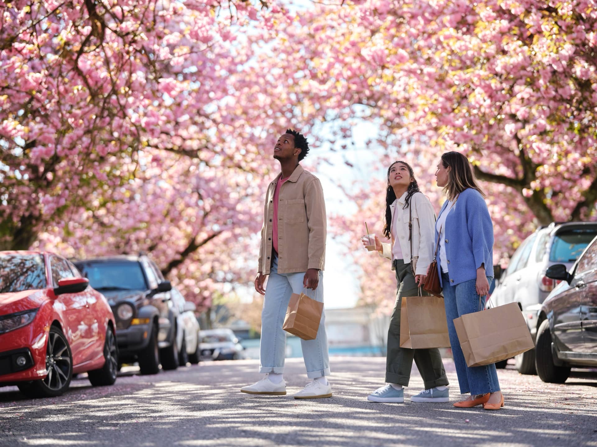 People walking under cherry blossom trees