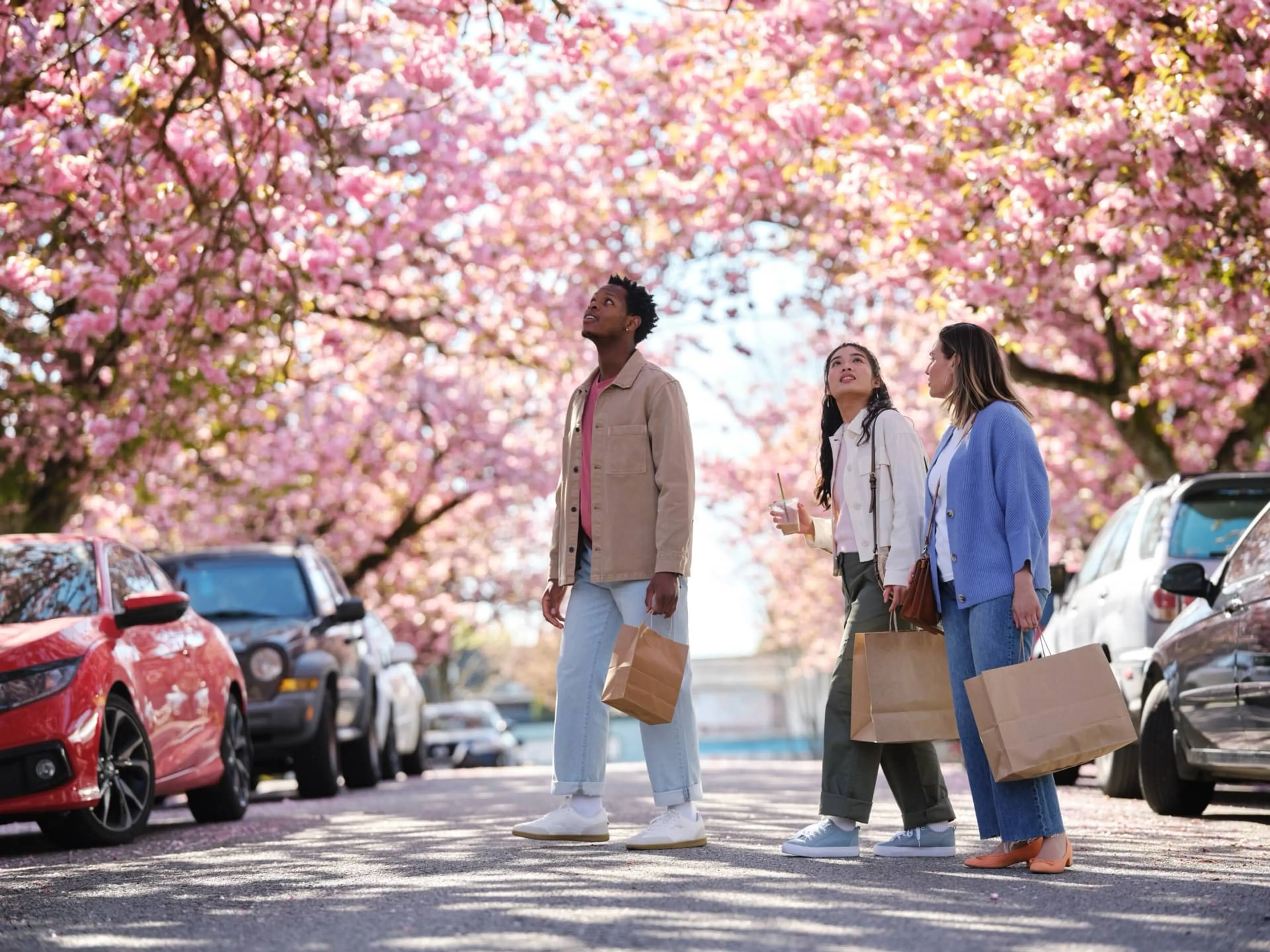 People walking under cherry blossom trees