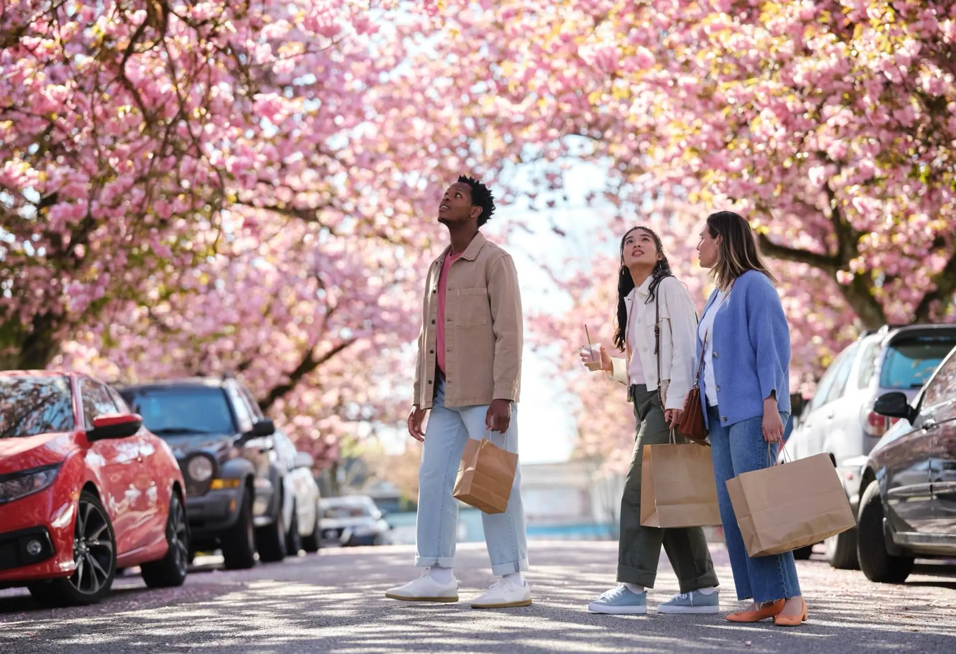 People walking under cherry blossom trees