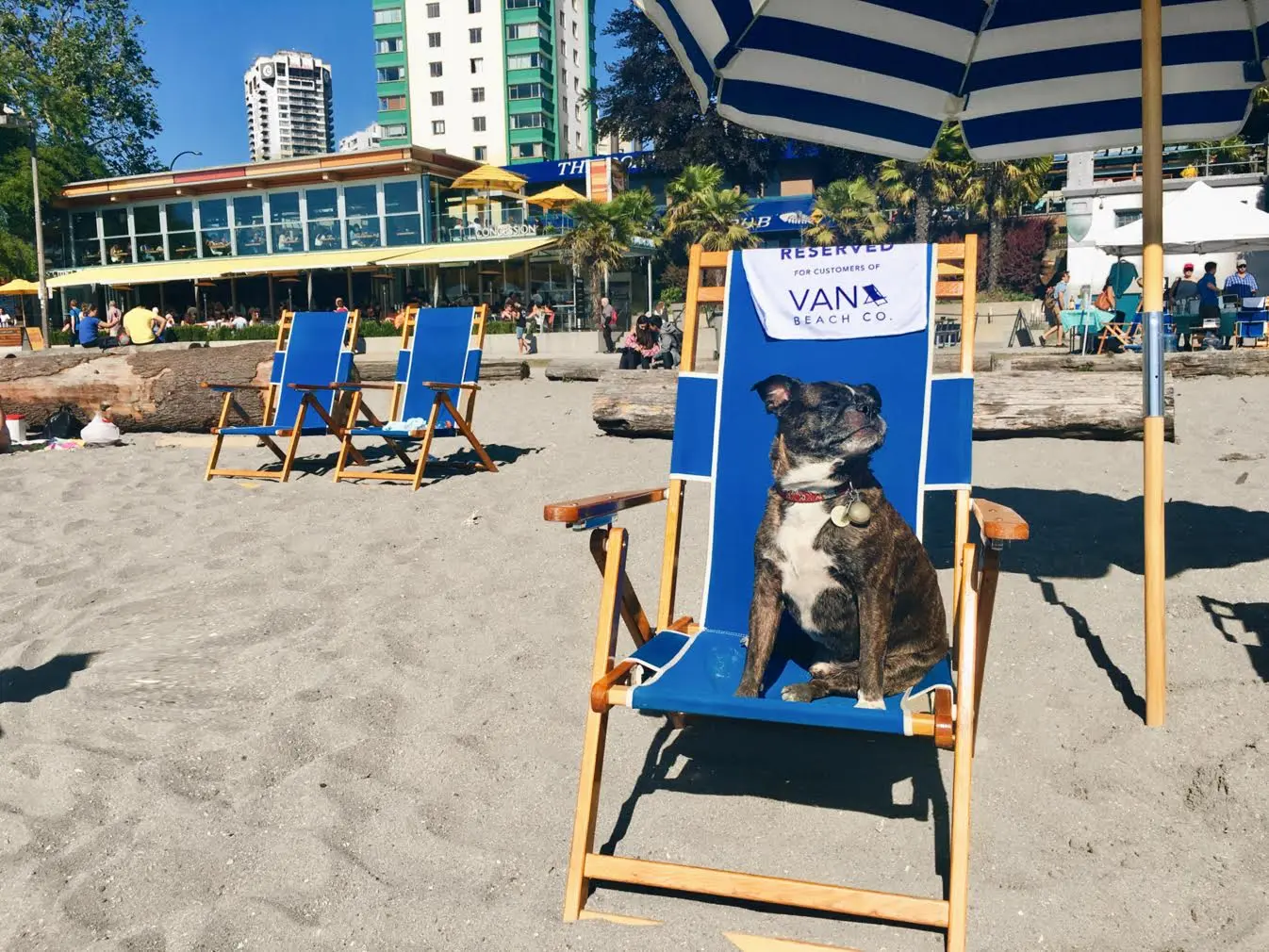 beach chair umbrella rental vancouver