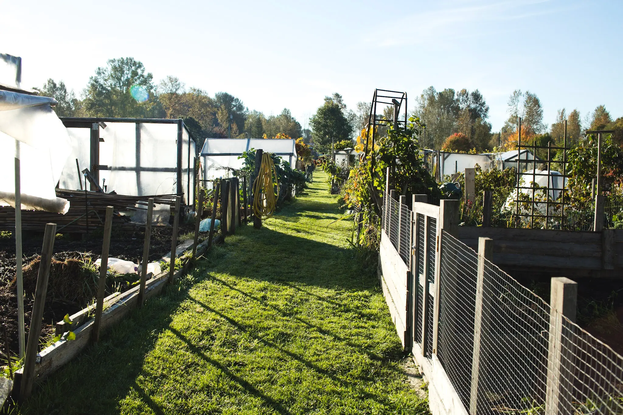 Community garden in Colony Farm Regional Park