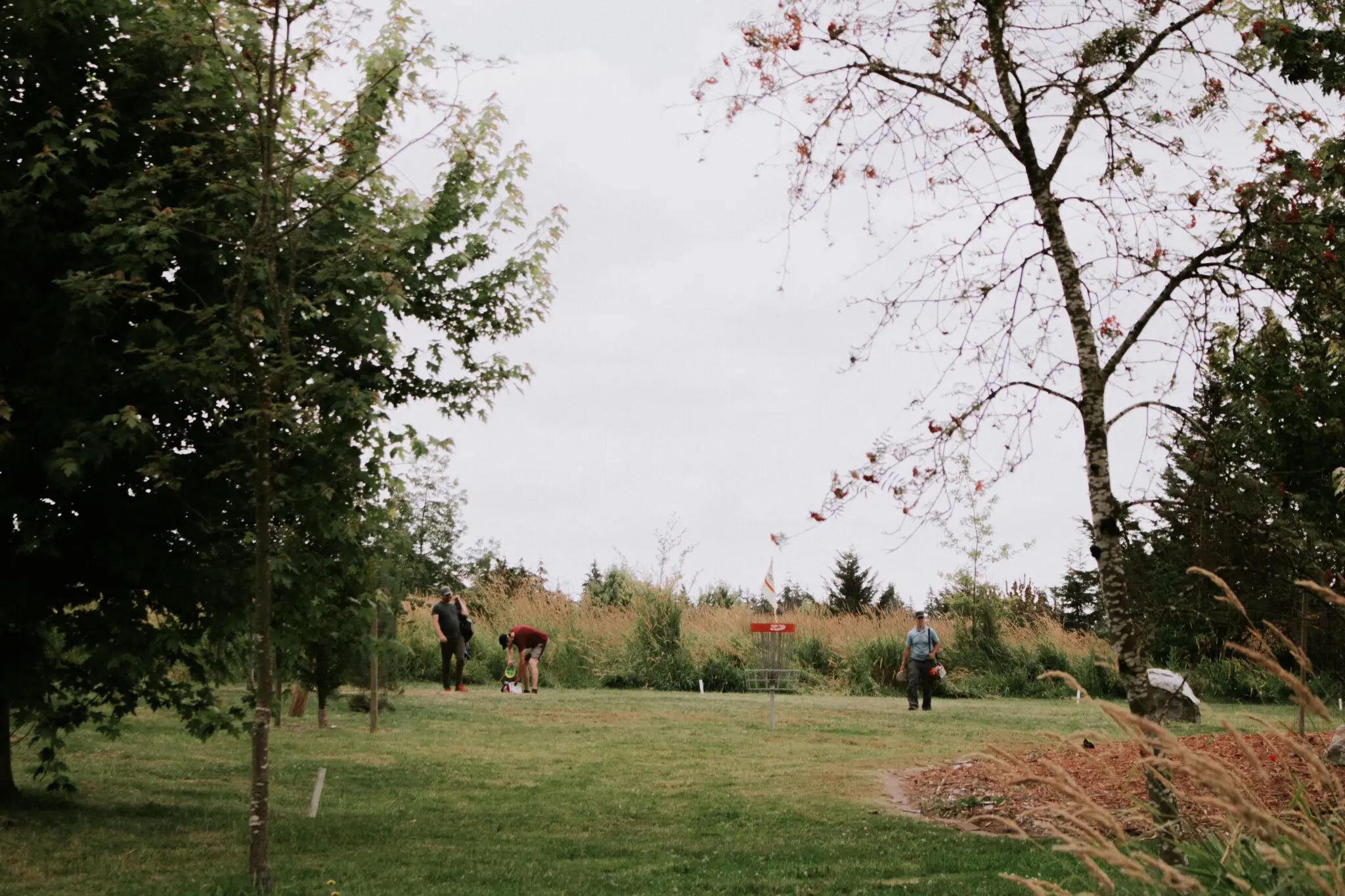 Disc golfing at Raptors Knoll Disc Golf in Langley