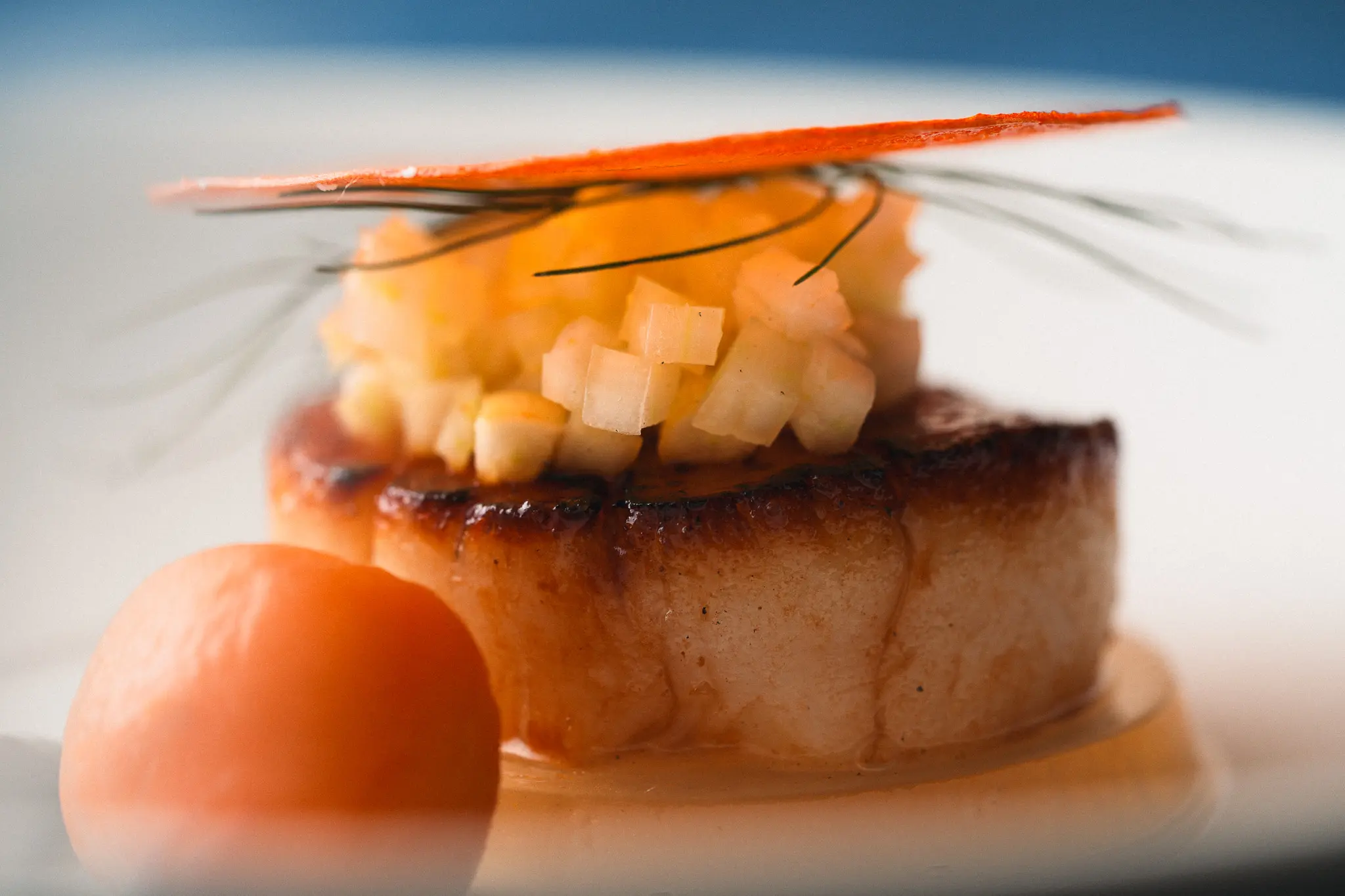 Close up of the seafood dachi from the Sturgeon Moon menu at the Burdock and Co. restaurant in Vancouver.