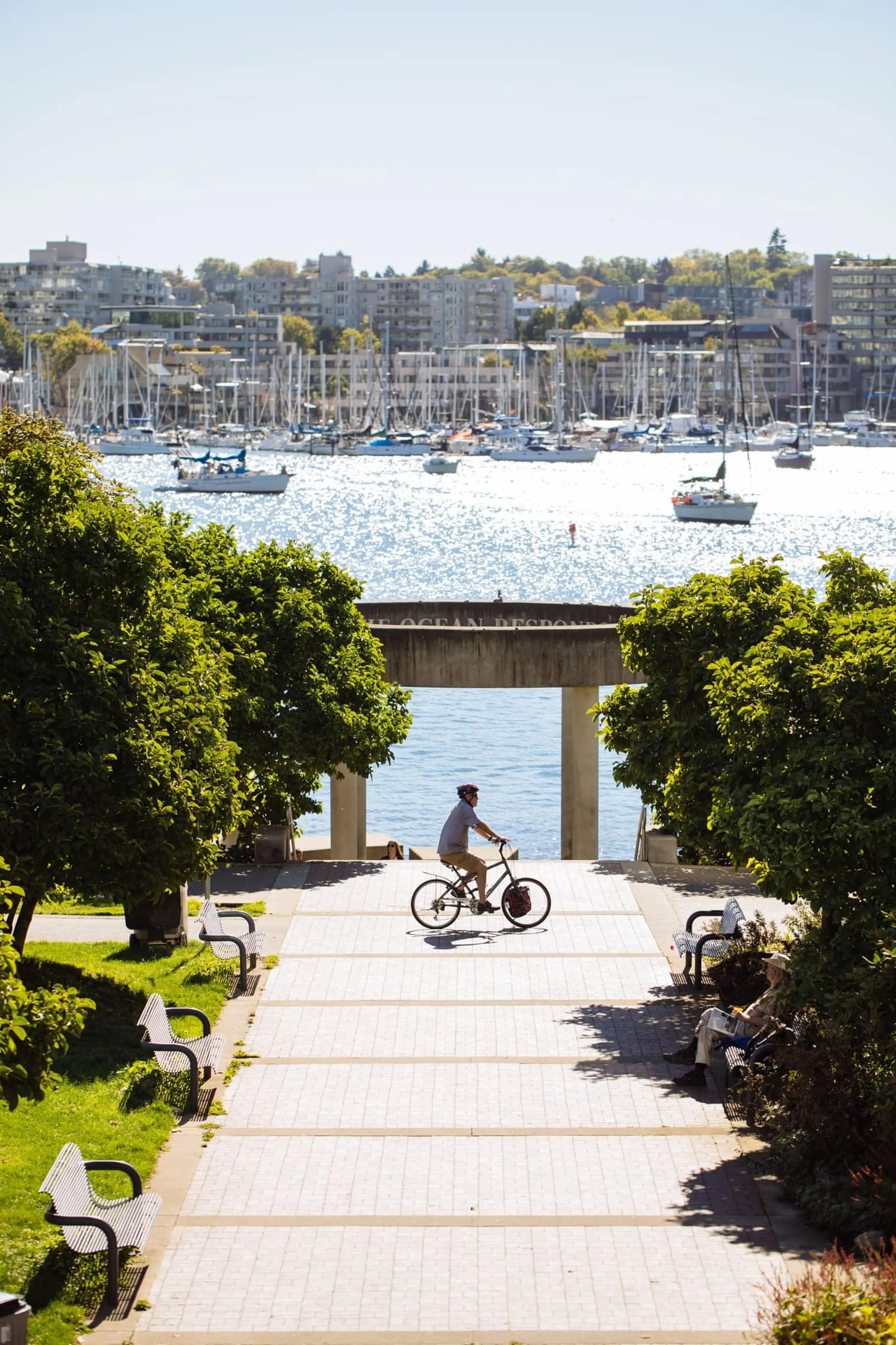 Person riding a bicycle on a paved path lined with benches and trees, with a marina and city buildings in the background.