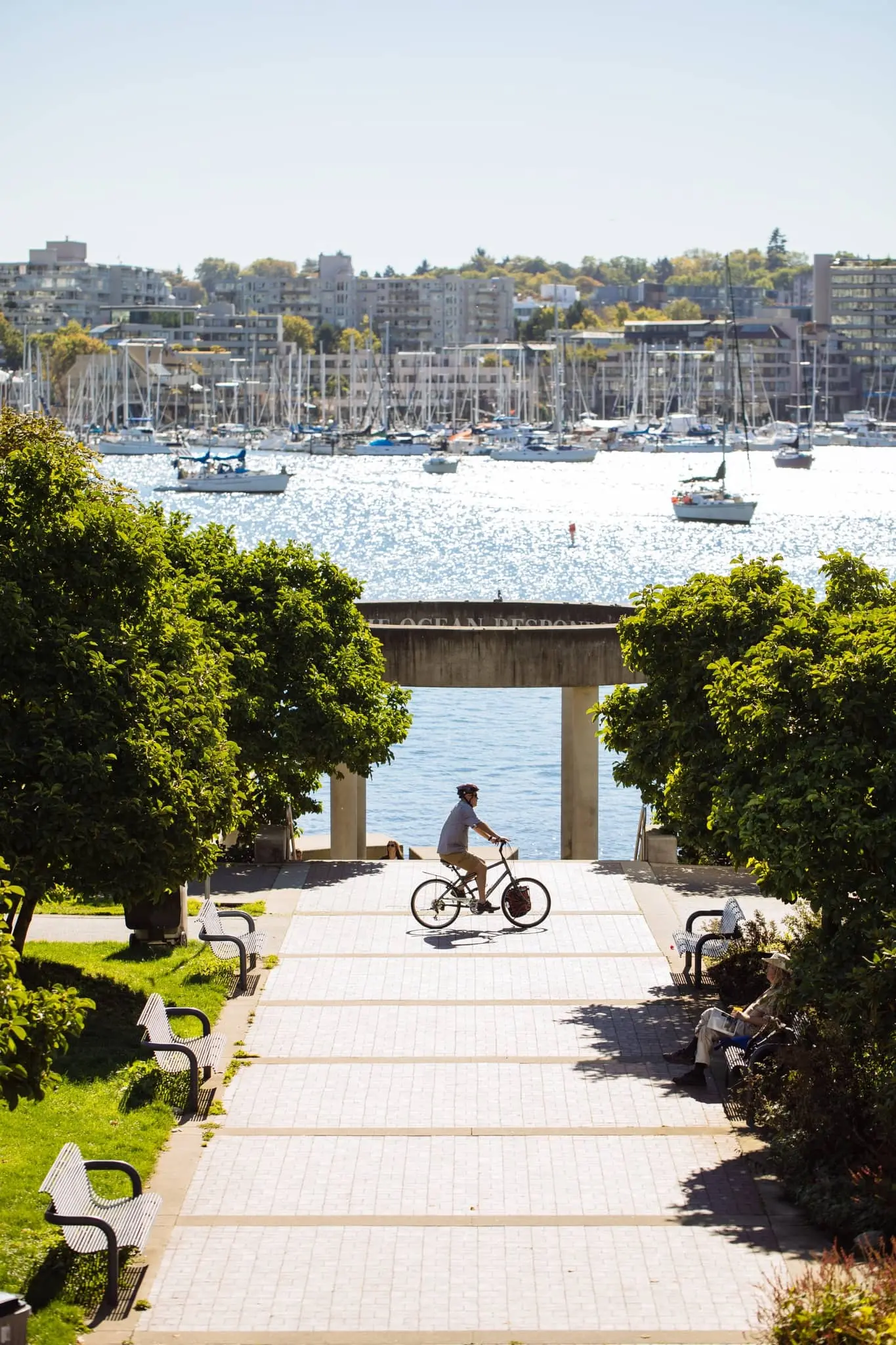 Person riding a bicycle on a paved path lined with benches and trees, with a marina and city buildings in the background.