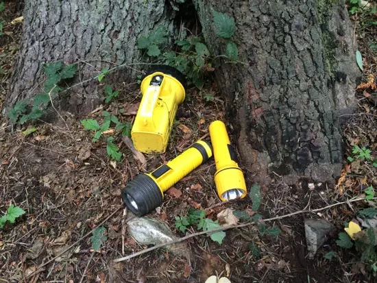 Photo Credit: Tara Lee