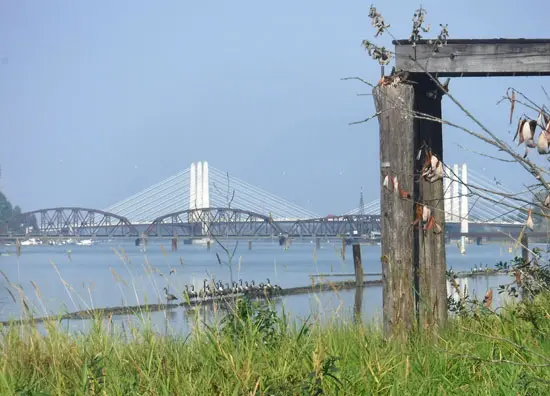 Cycling the Pitt River Regional Greenway