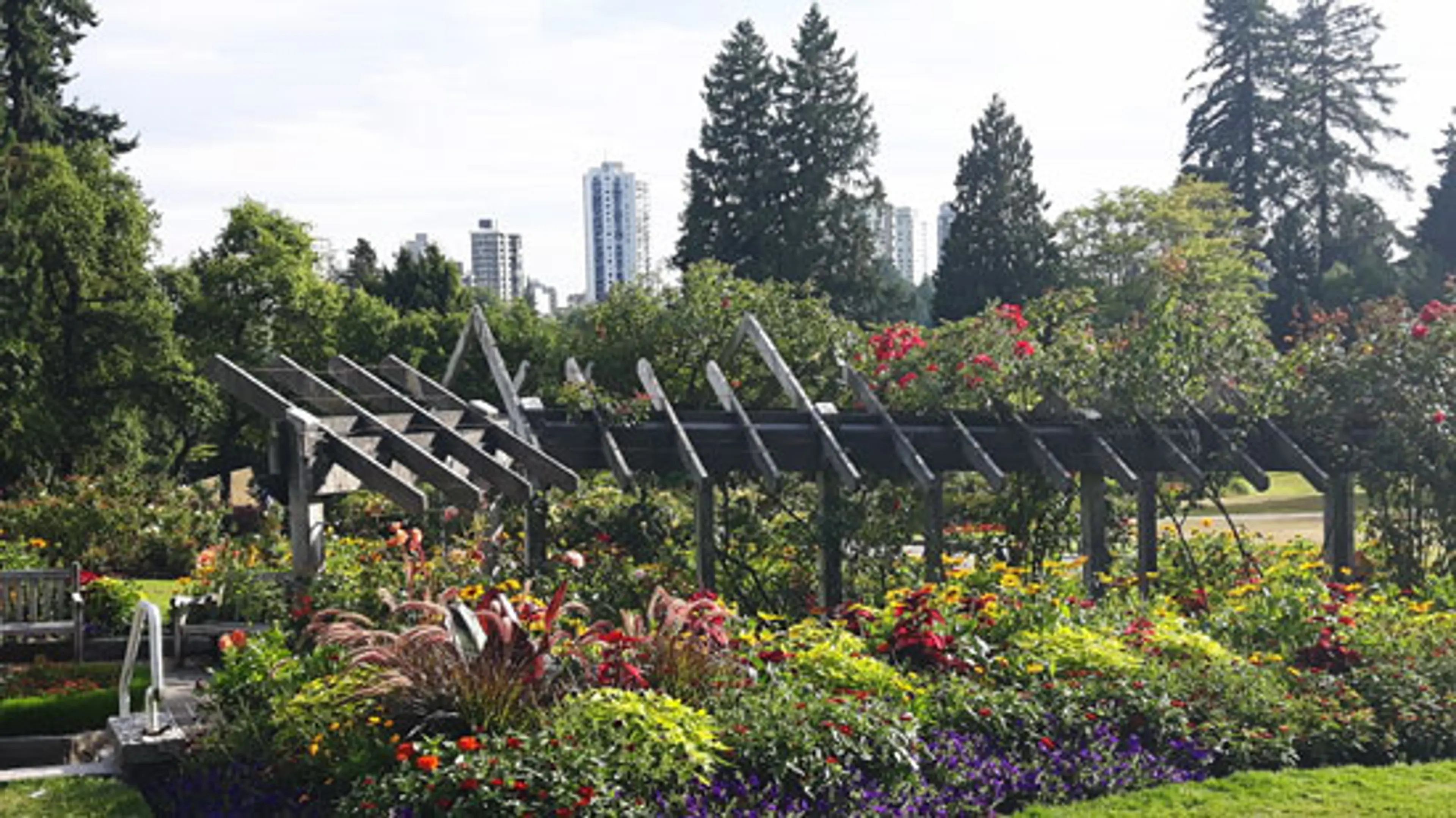 Please Walk on the Grass – the Gardens at Stanley Park