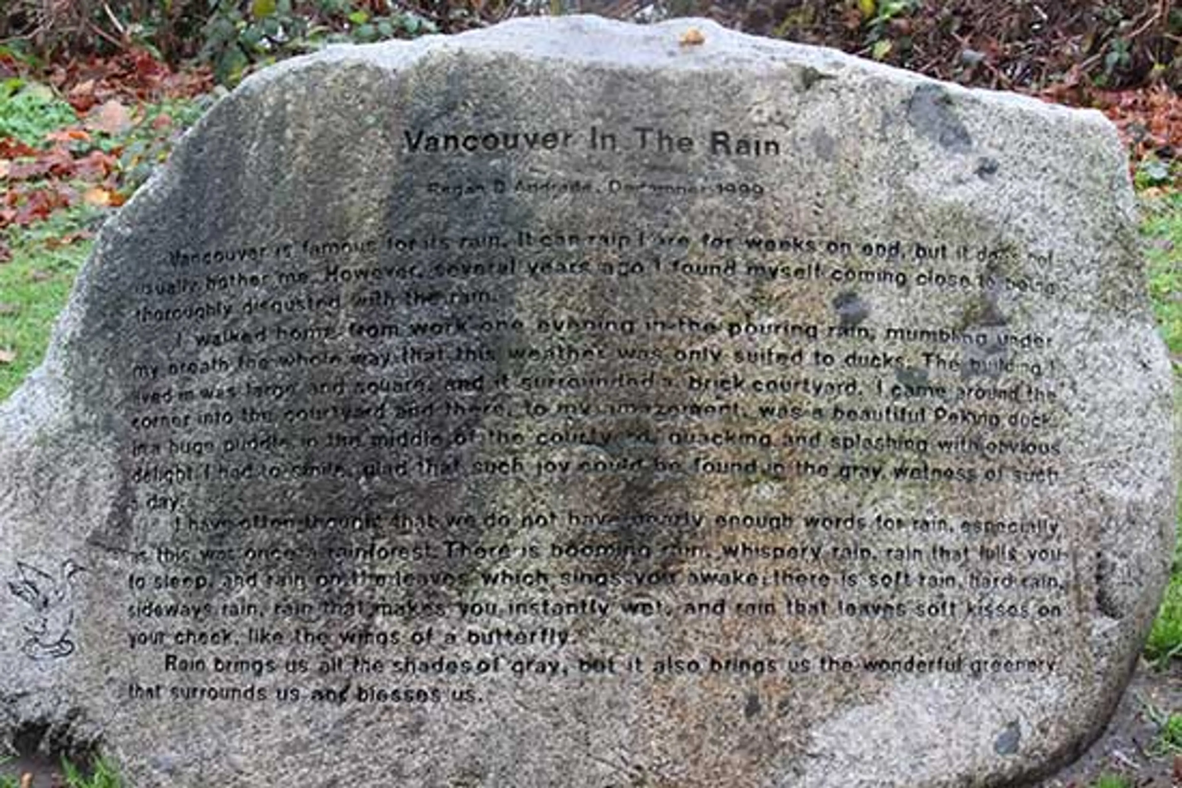 Discover-Outdoors-Vancouver-Rain-Kits-Beach