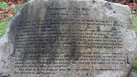 Discover-Outdoors-Vancouver-Rain-Kits-Beach