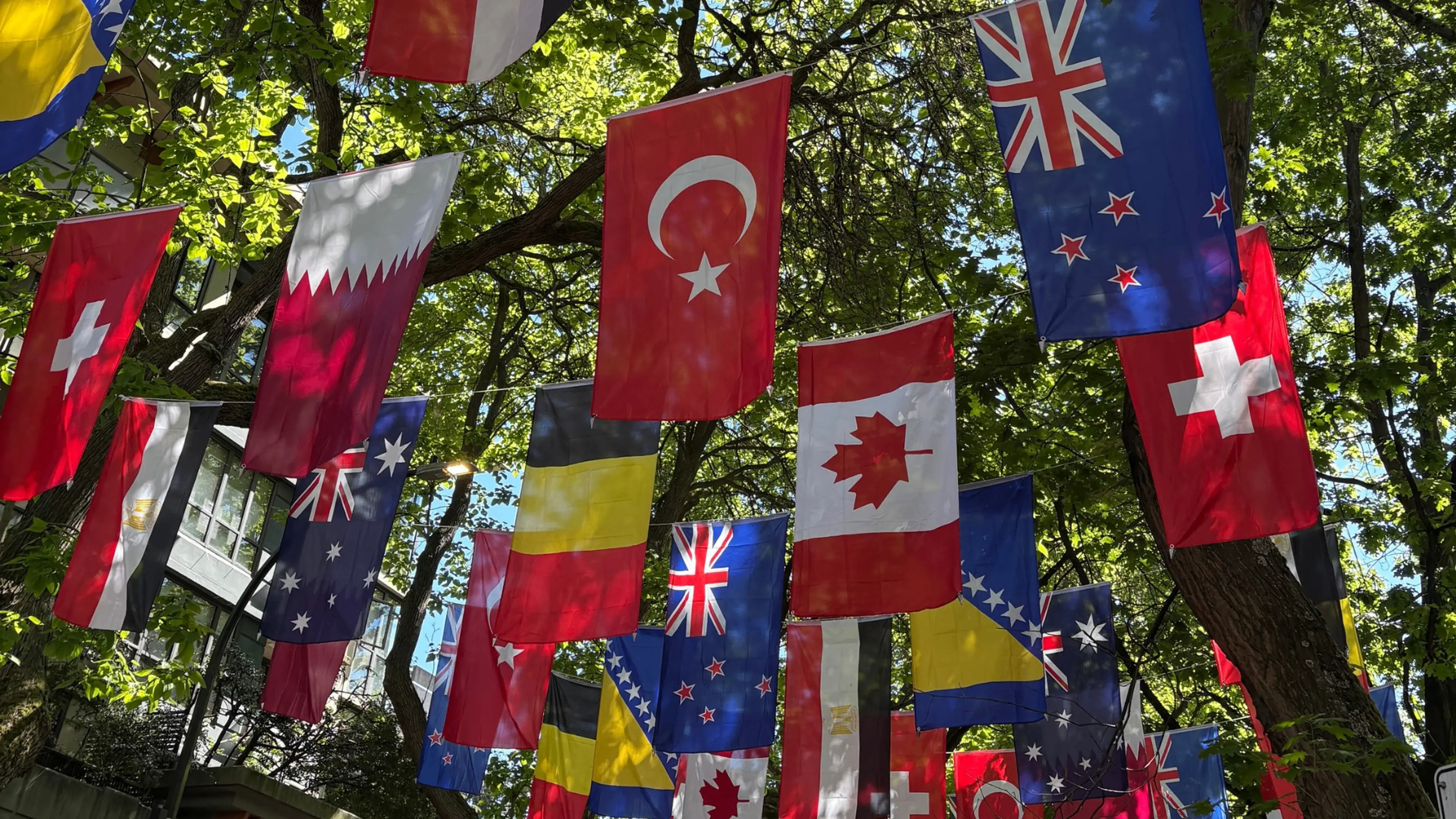 Multiple international flags hanging from tree branches outdoors on a sunny day.