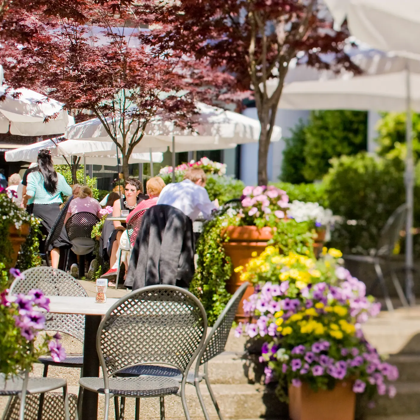 Vancouver Art Gallery
