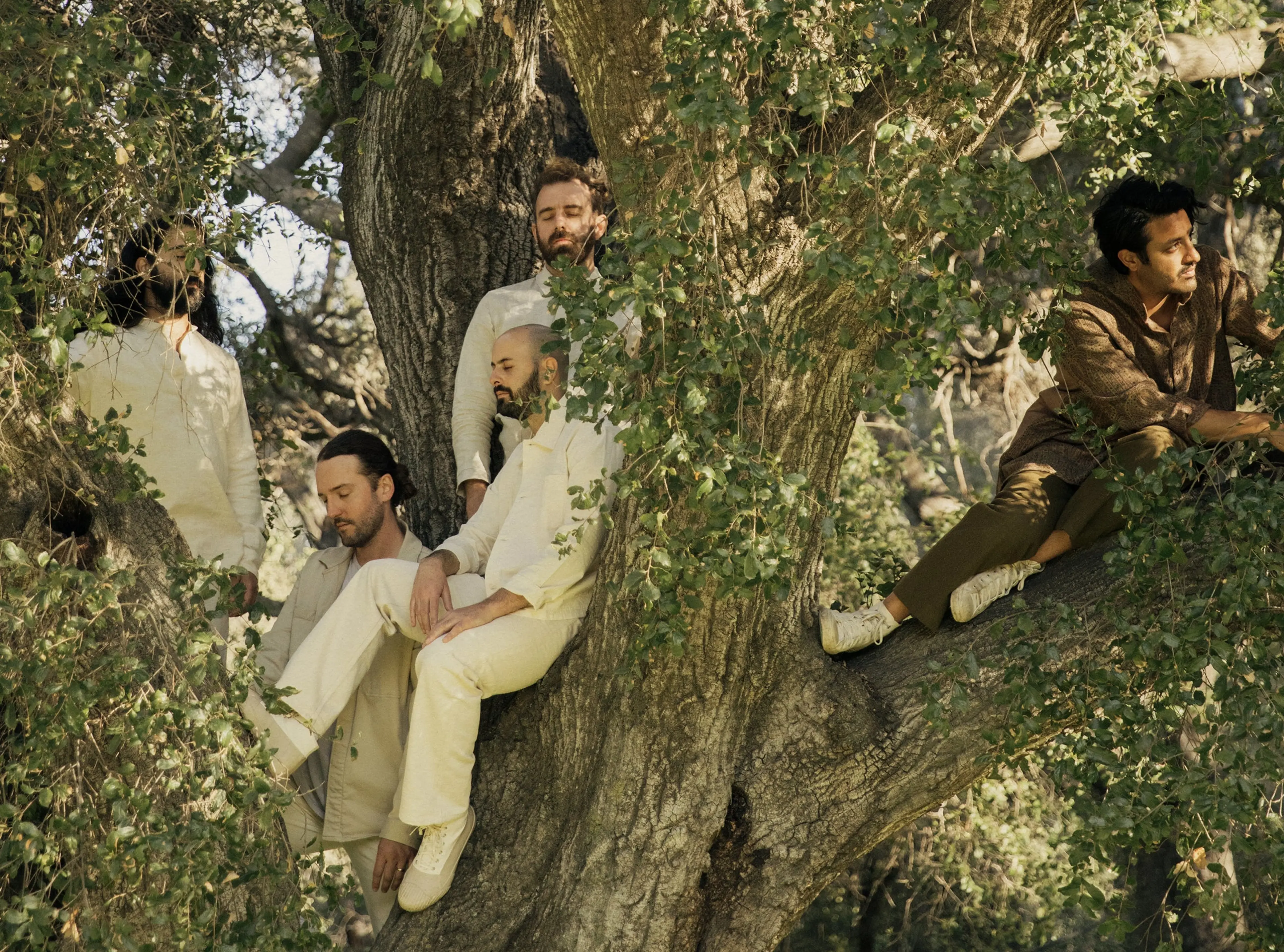 Five people sitting and leaning on a large tree with green leaves in a natural outdoor setting.