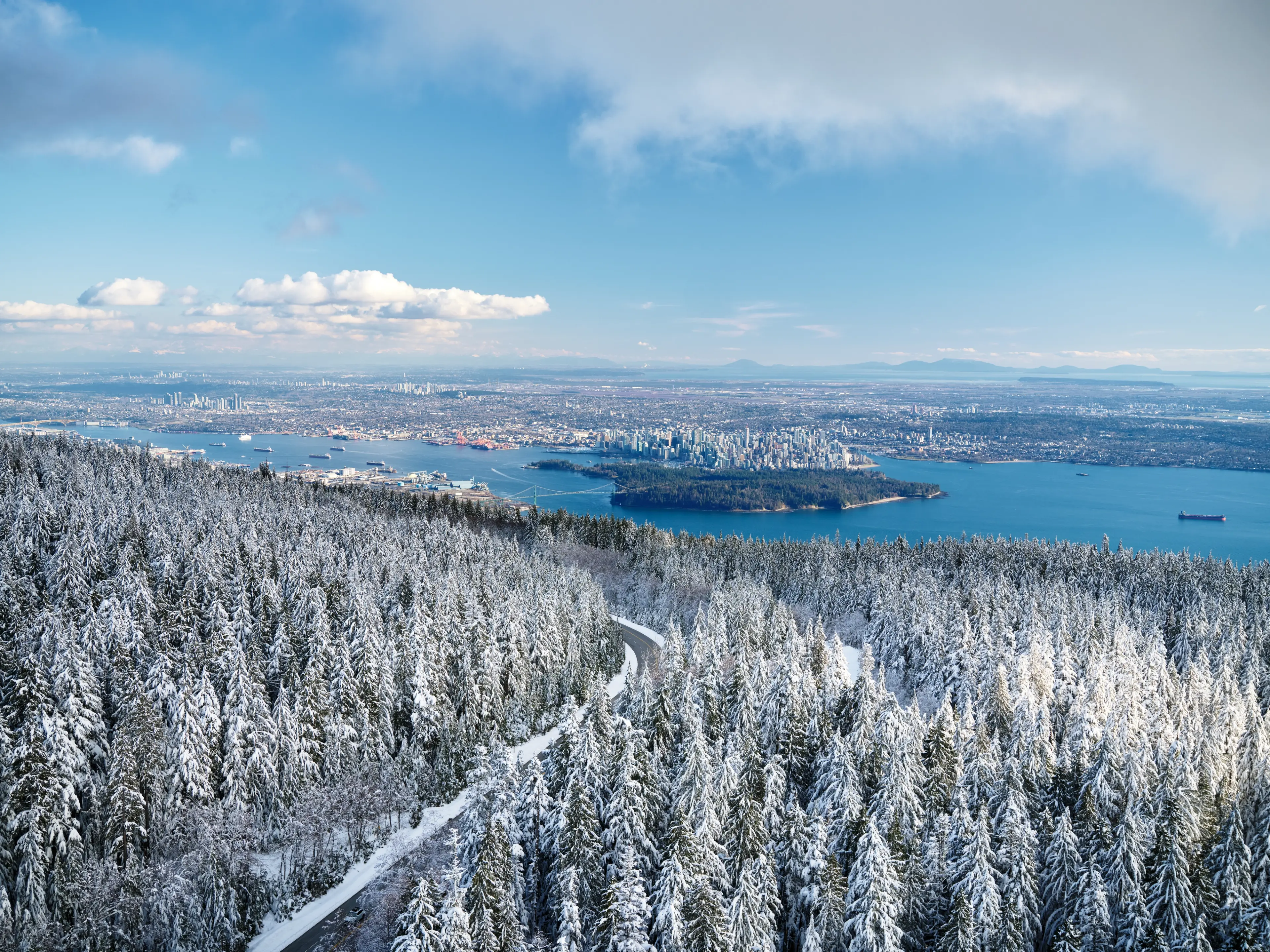 Aerial view of snowy mountains in the foreground and the city of Vancouver in the distance. 