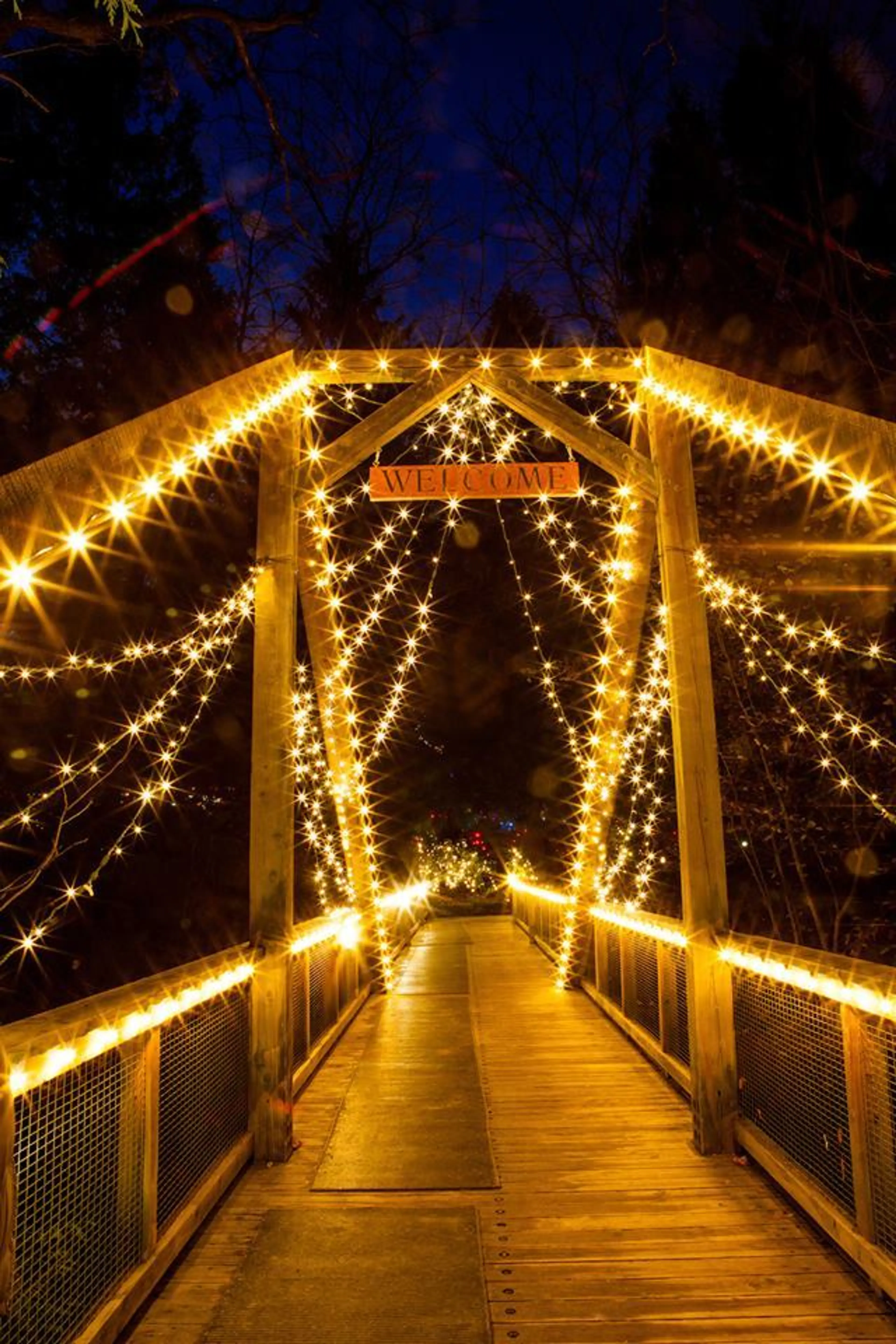 Christmas Lights