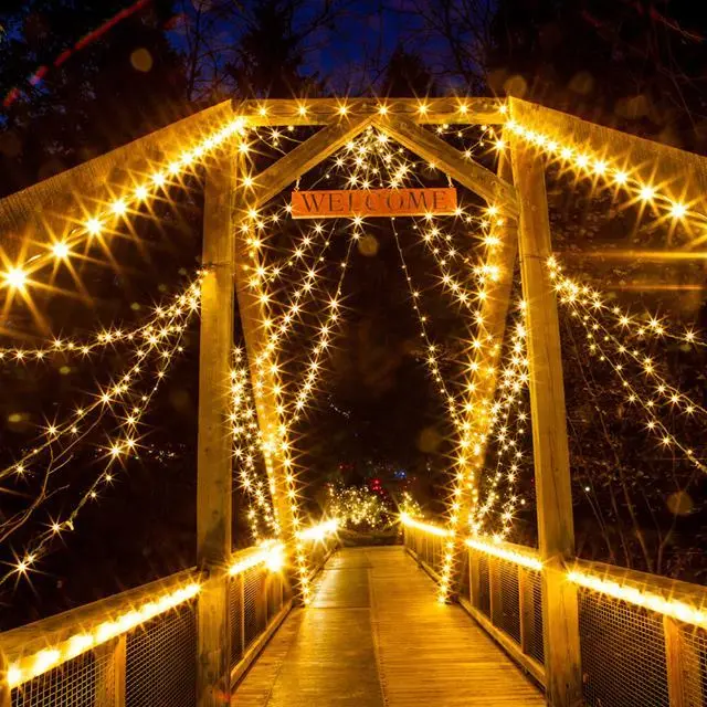 Christmas Lights