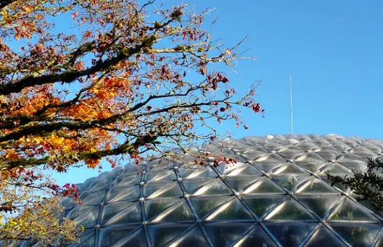 Bloedel Conservatory | Photo: Lilies n' Lavender (Flickr)