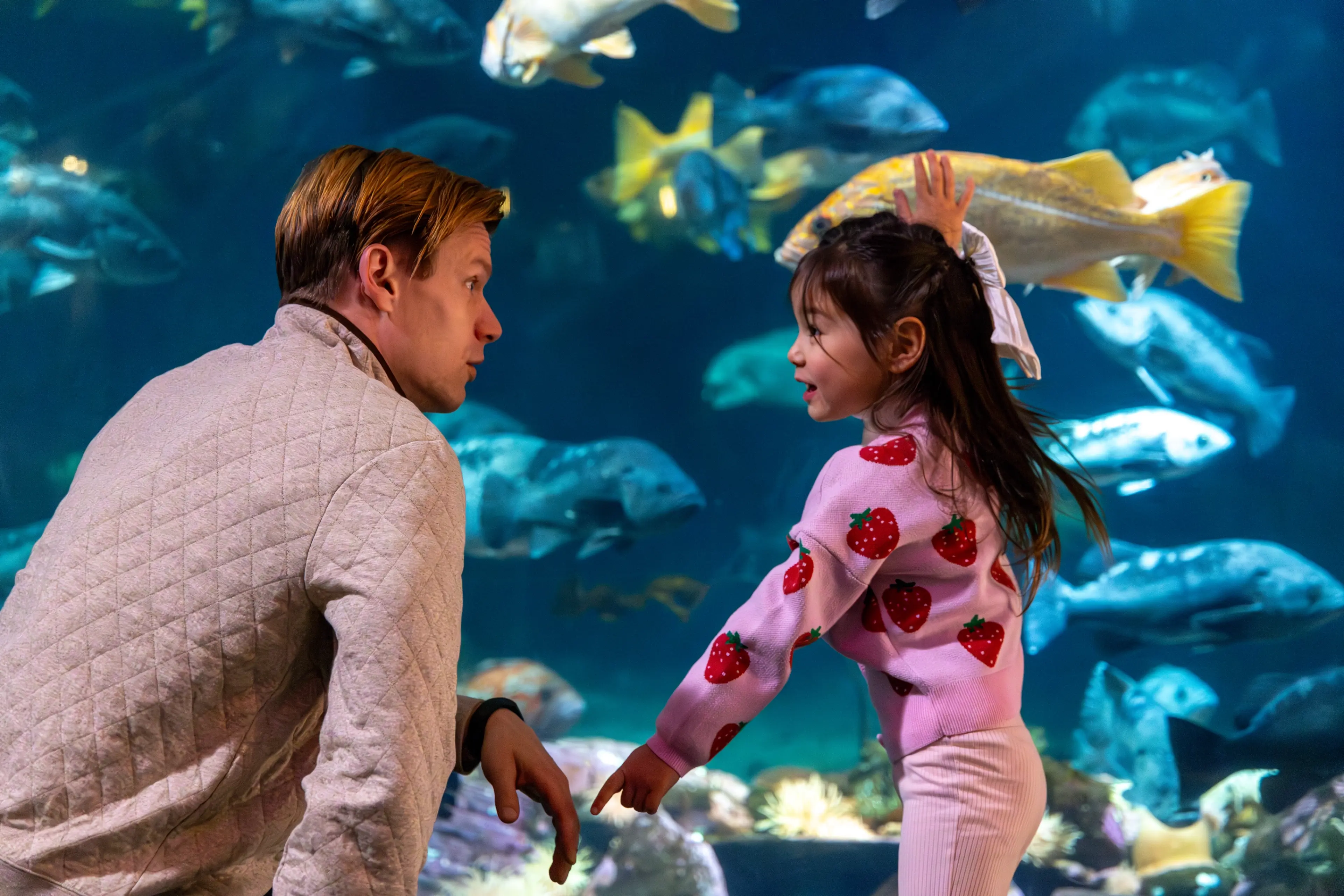 A little girl stands in front of a big fish tank with her father at the Vancouver Aquarium. 