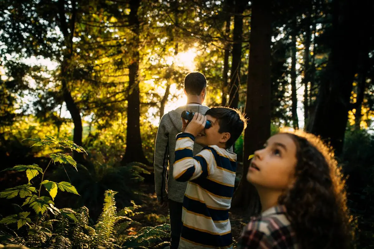 A child looks through binoculars in the forest in Stanley Park.