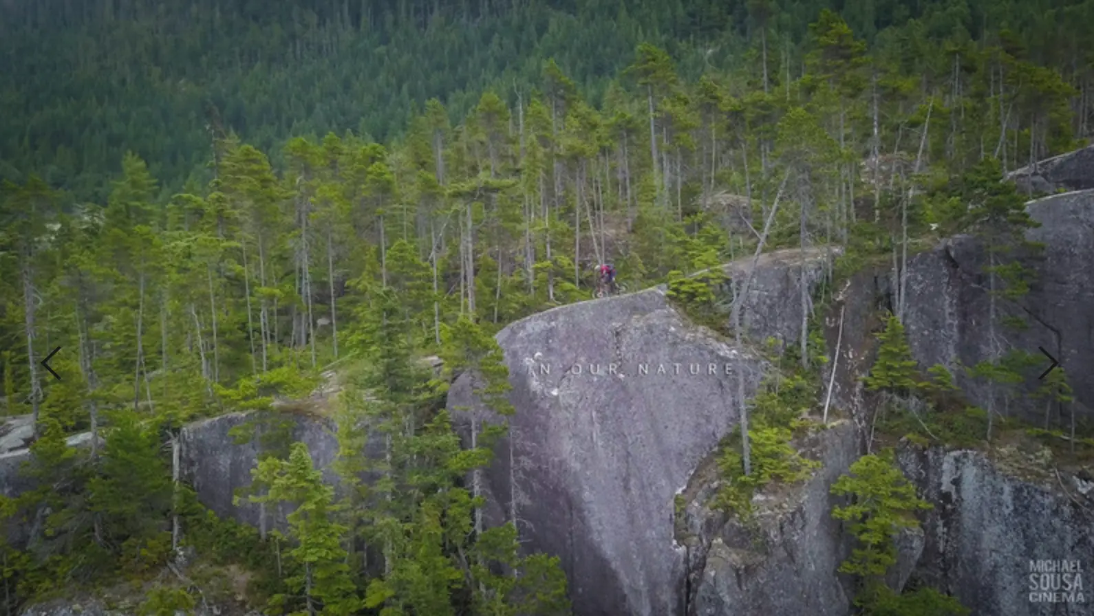 In Our Nature film