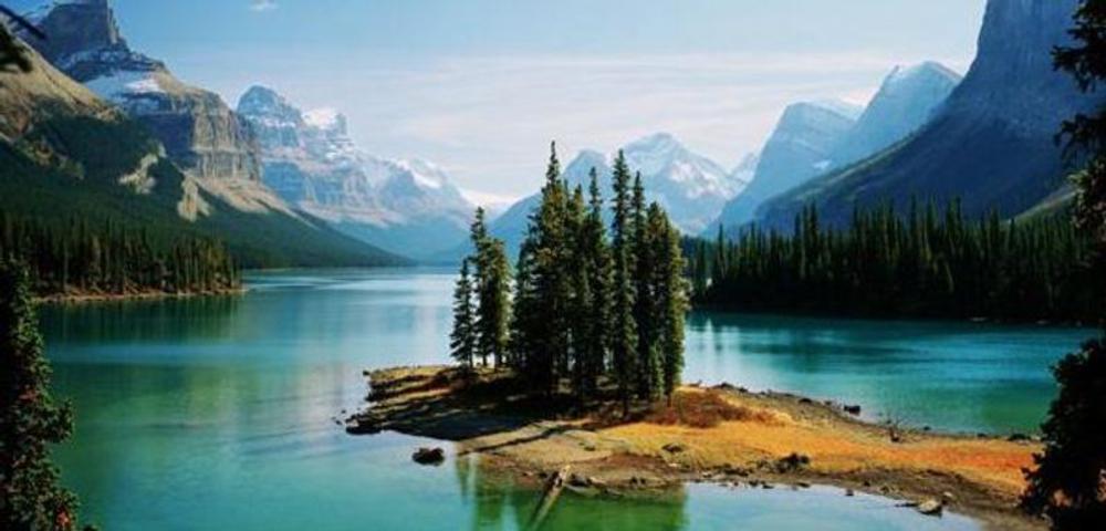 Cal Travel - image1