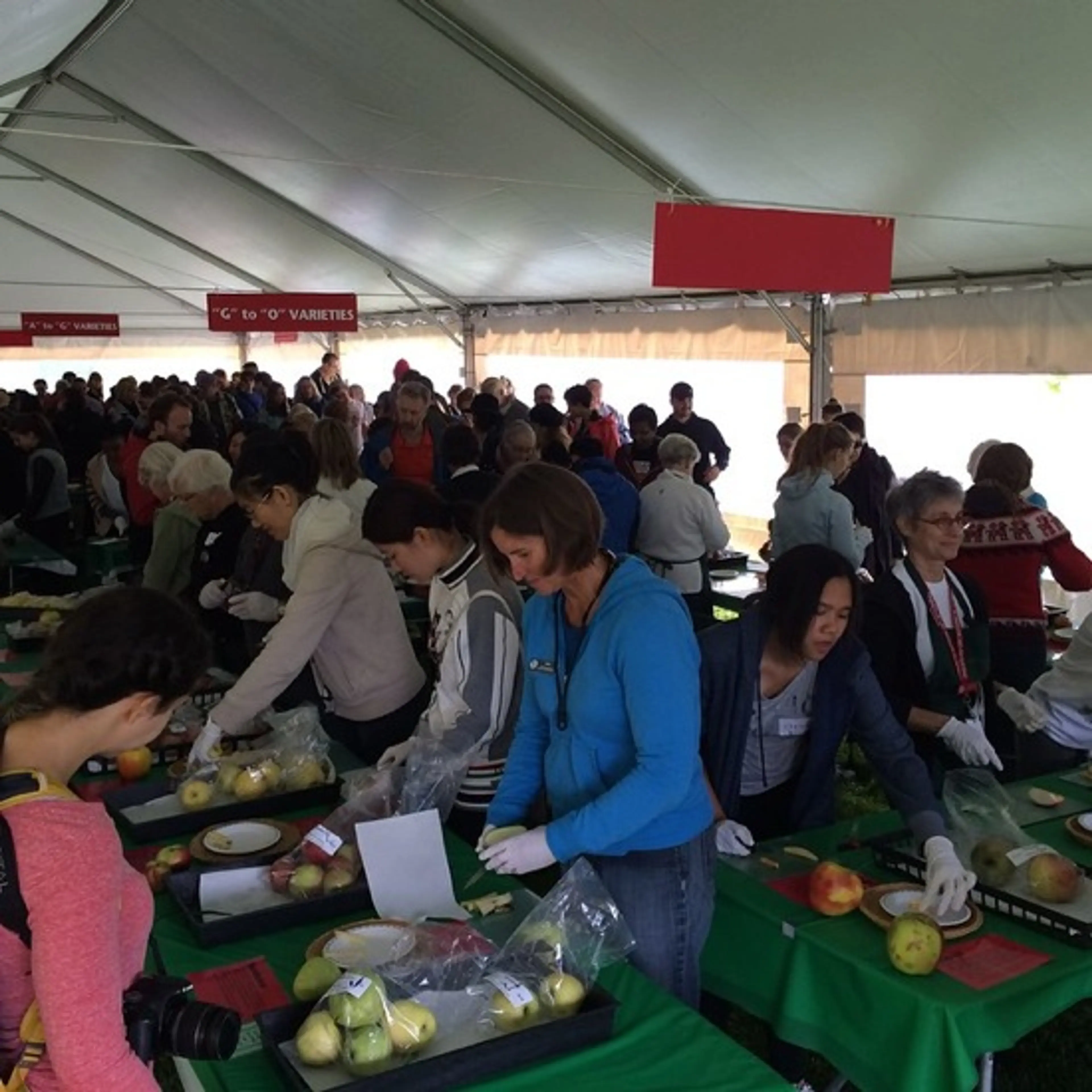 Apple tasting; Sourced from the UBC Botanical Garden Facebook page