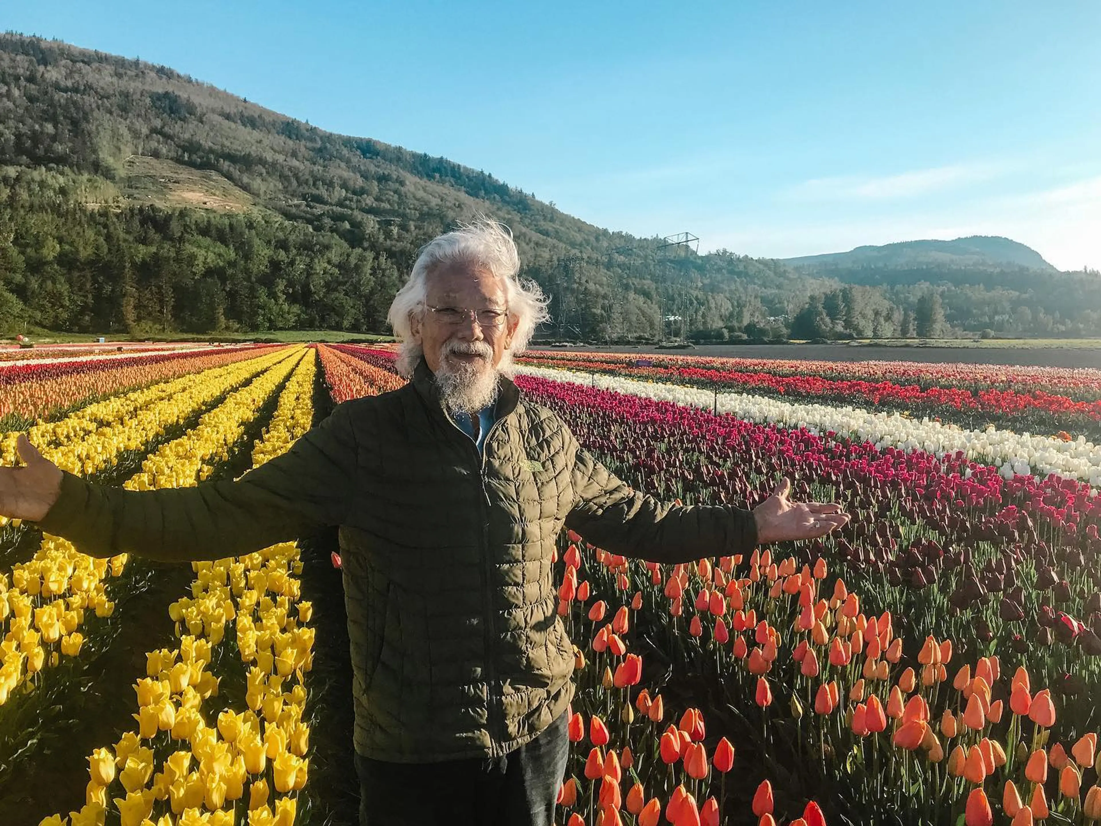 Abbotsford tulip festival