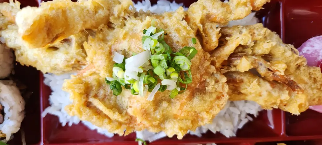 Japanese Surf N Turf Bento Box