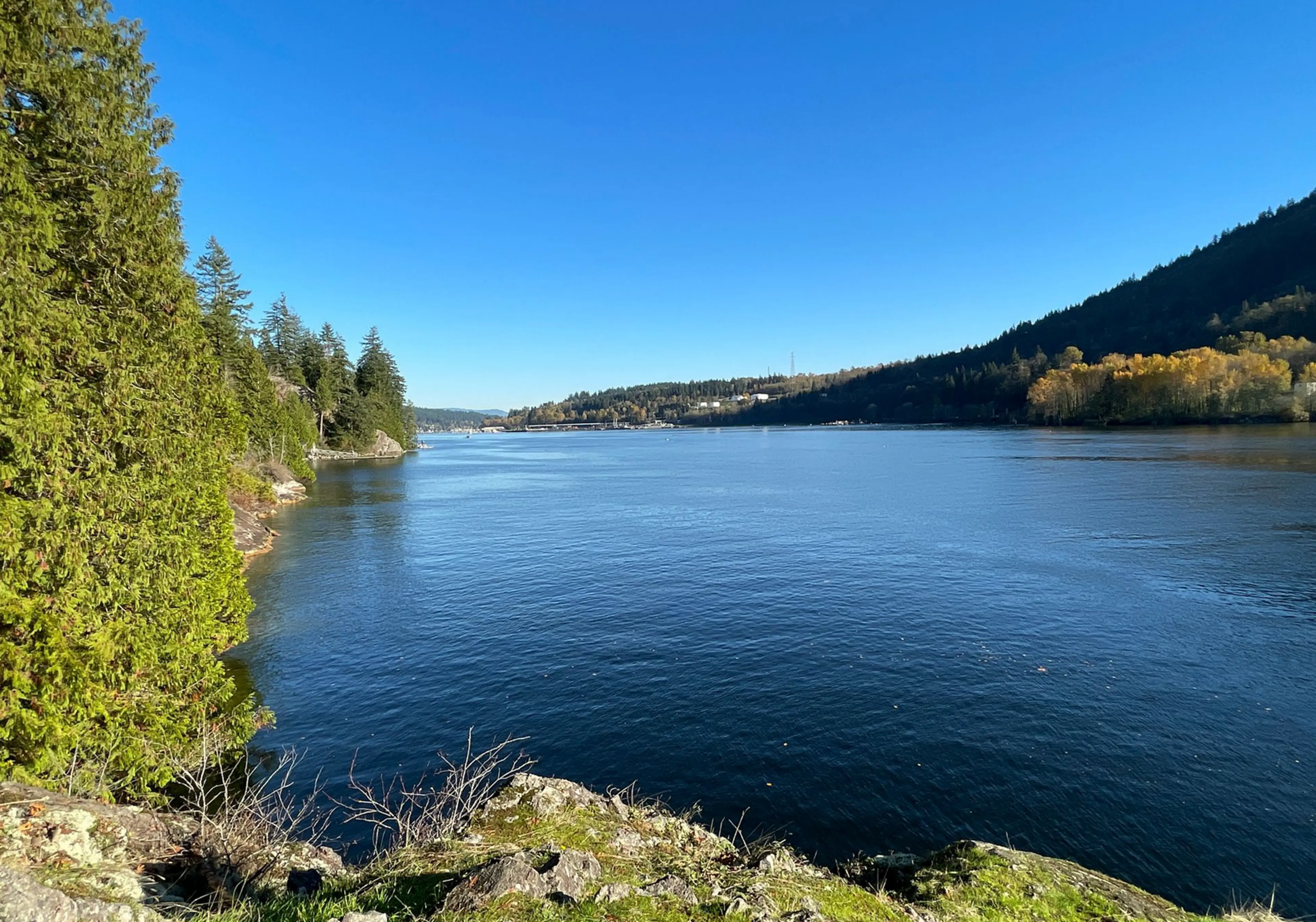 View from Burns Point in Belcarra Regional Park