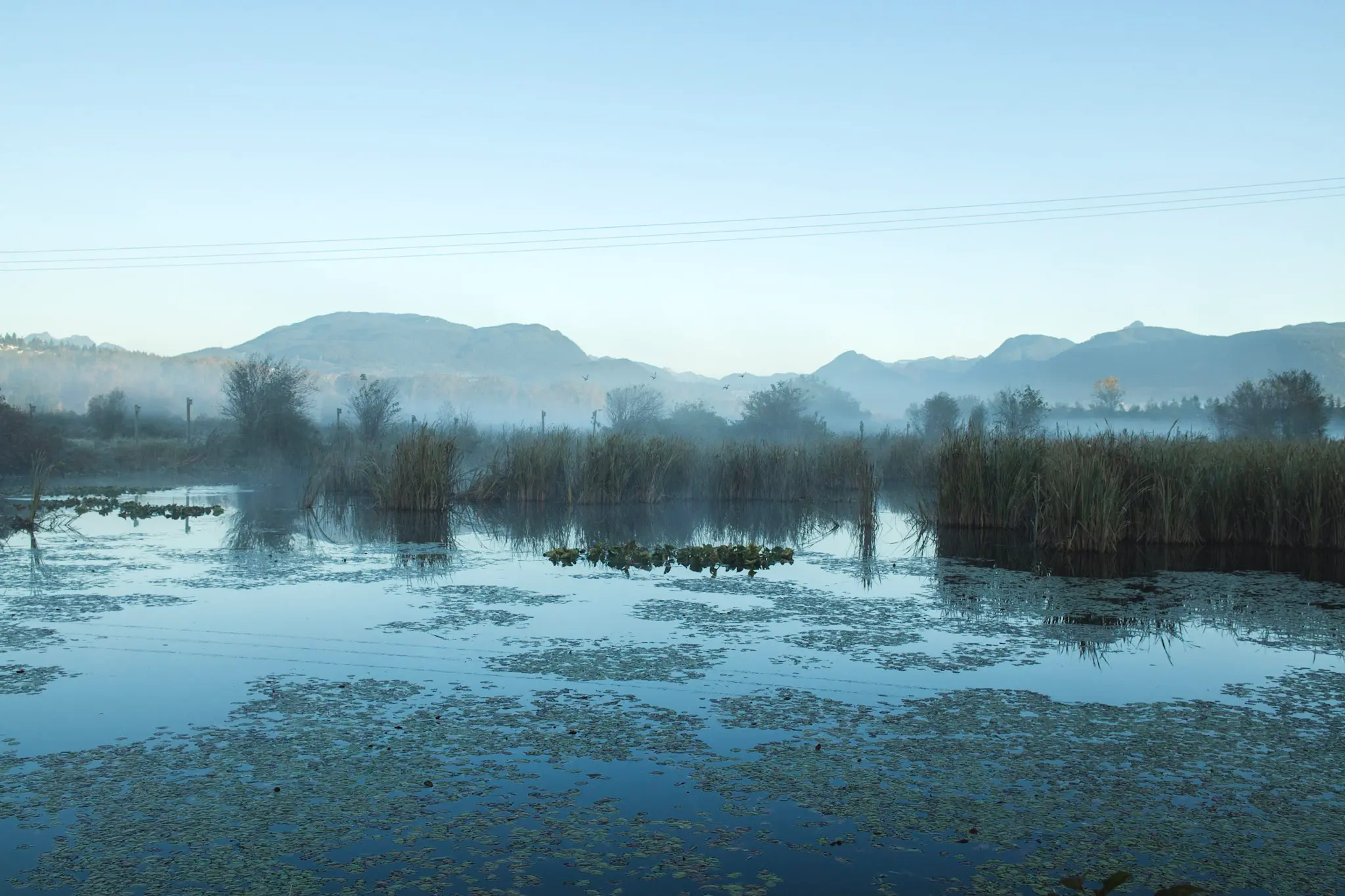 Misty mountain views at Colony Farm Regional Park