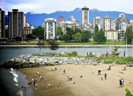 photo: Karen Lee Colangelo