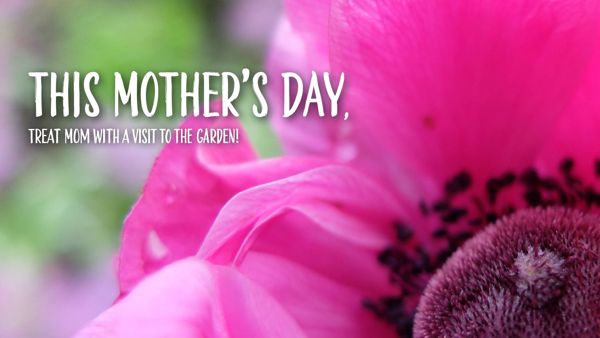 Mother's Day at VanDusen Botanical Garden