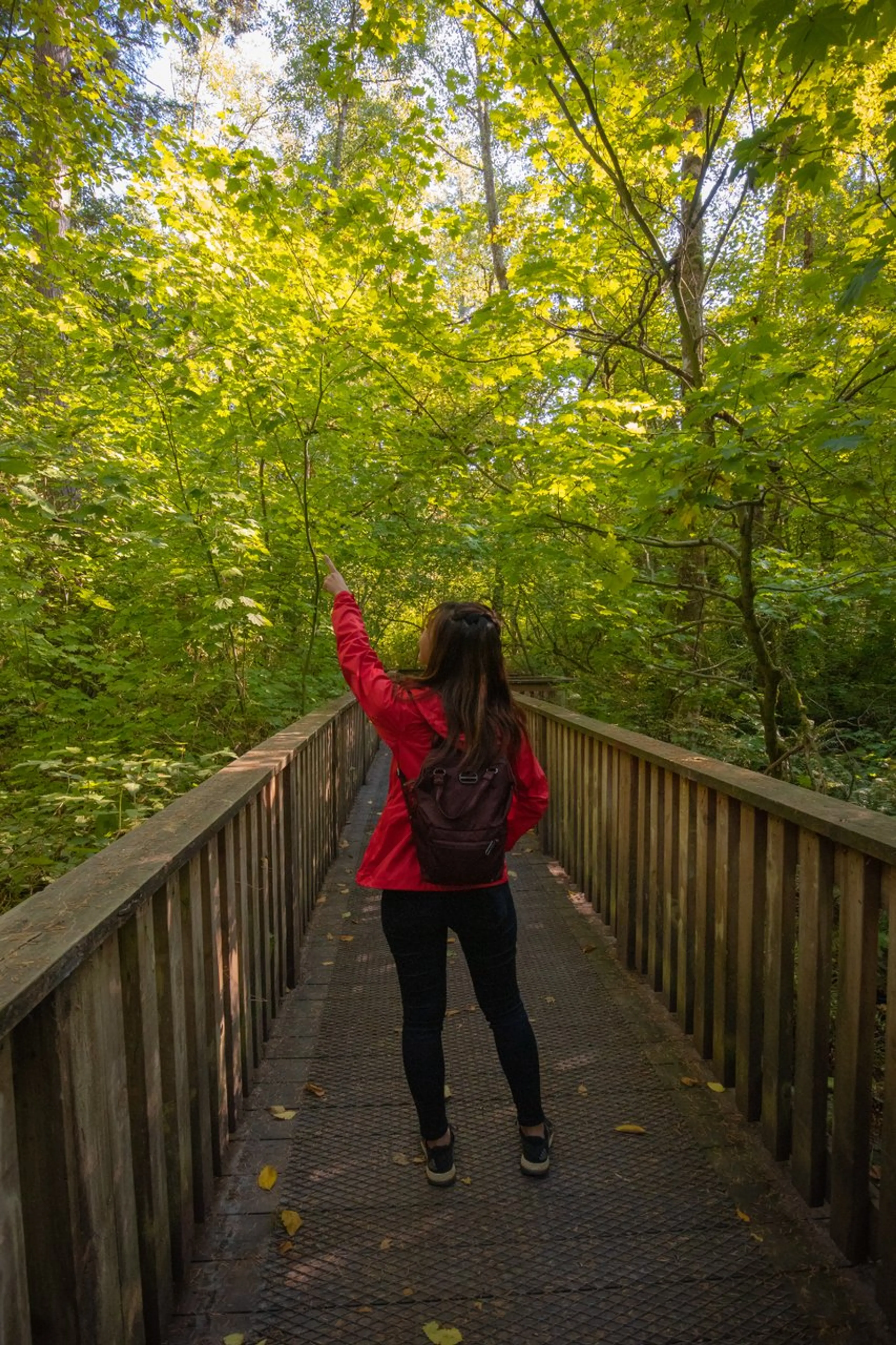 Green Timbers Urban Forest in Surrey