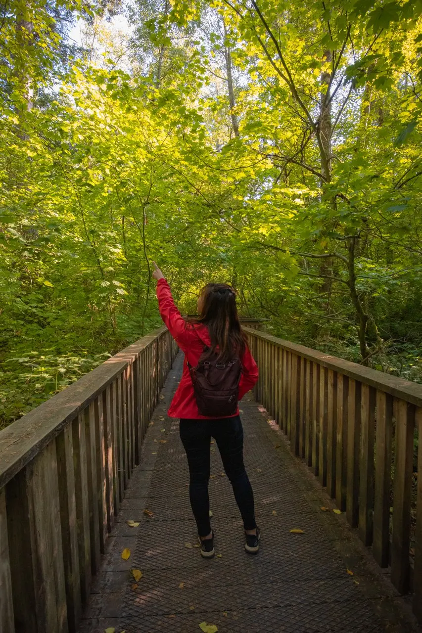 Green Timbers Urban Forest in Surrey