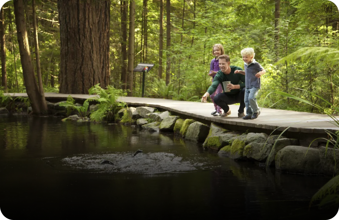 An adult and two children on a wooden path feeding fish in a pond surrounded by green forest.