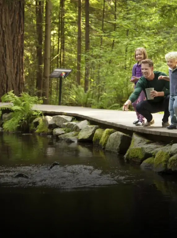 An adult and two children on a wooden path feeding fish in a pond surrounded by green forest.