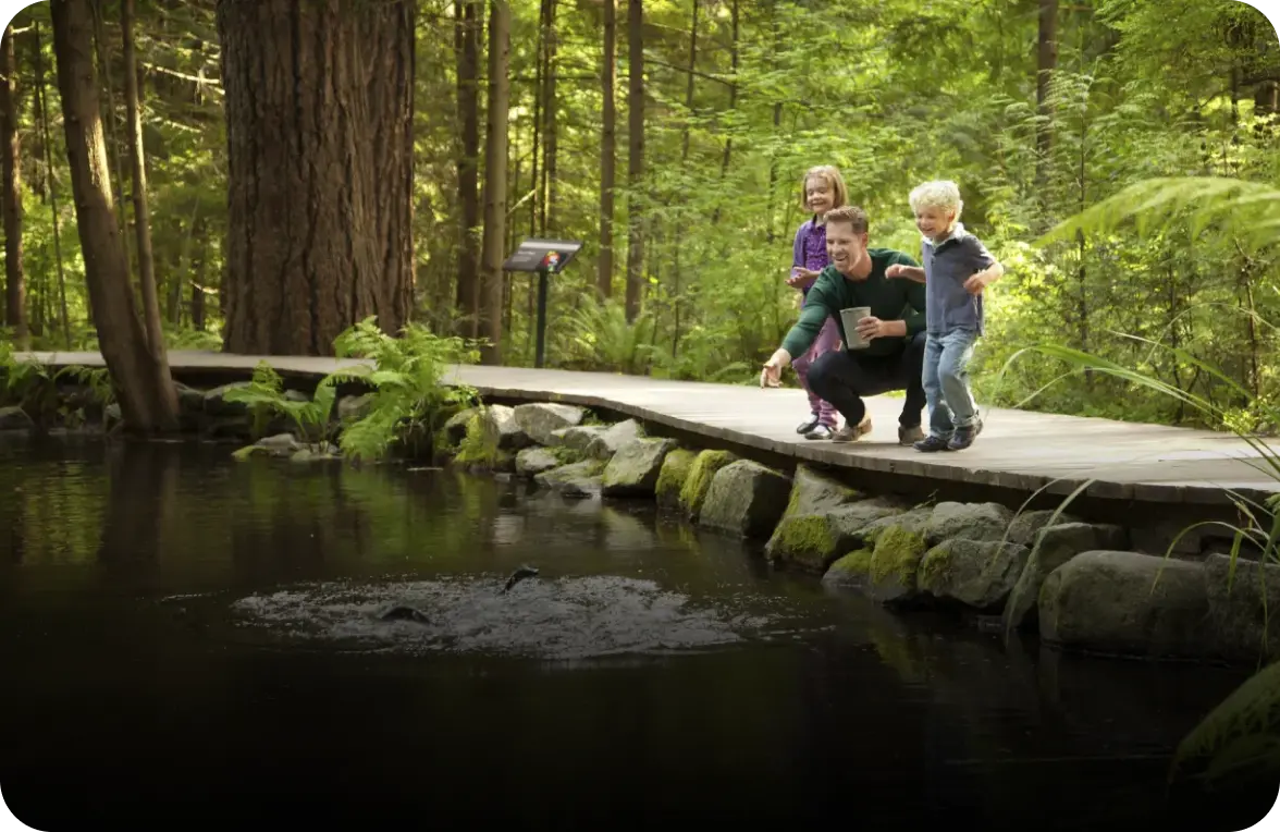 An adult and two children on a wooden path feeding fish in a pond surrounded by green forest.
